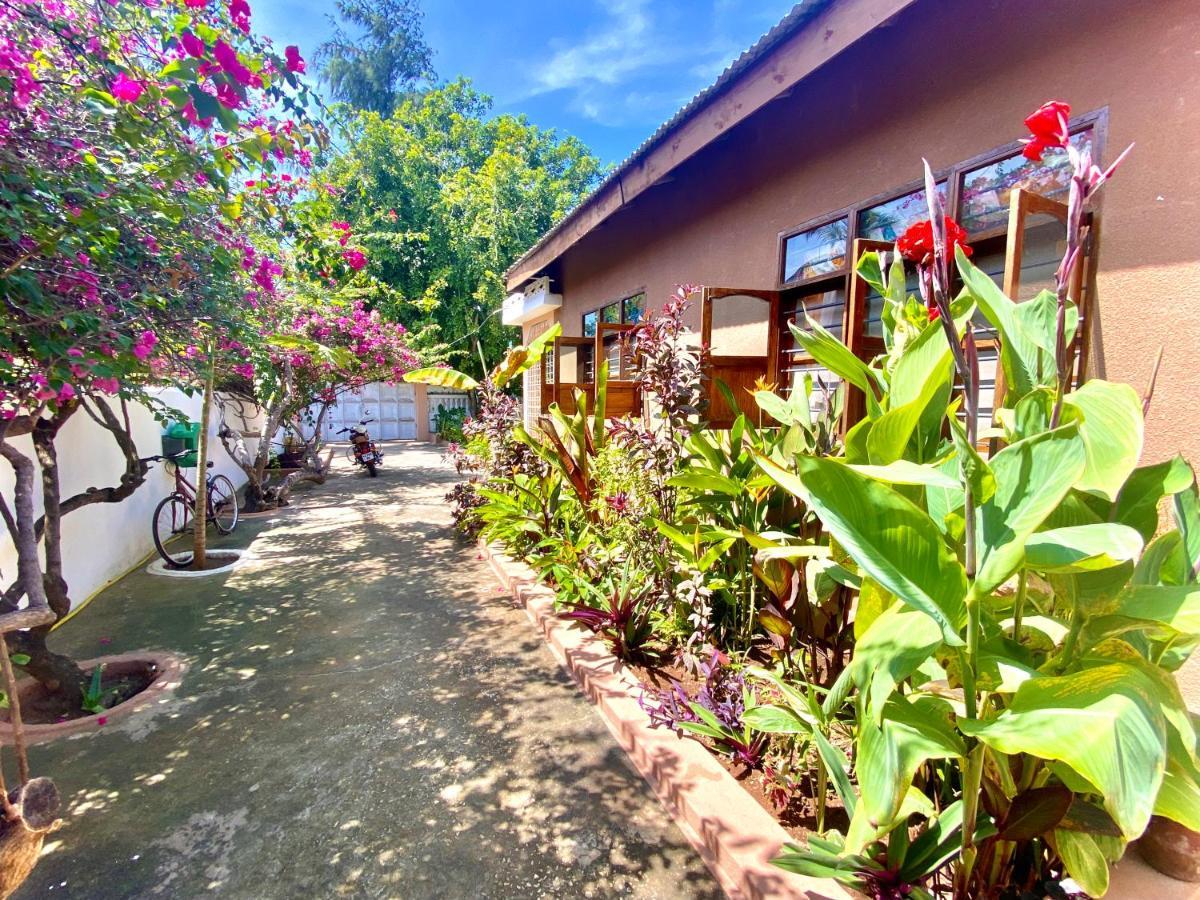 בווג'ו Villa Orchid Beach Guest House מראה חיצוני תמונה