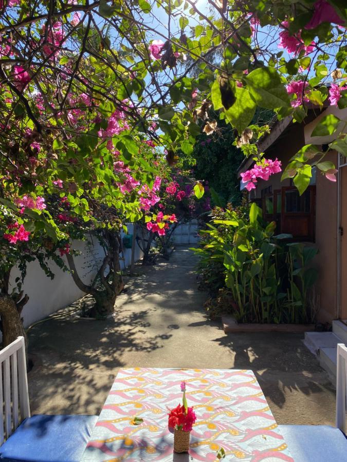 בווג'ו Villa Orchid Beach Guest House מראה חיצוני תמונה